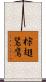 棕翅鵟鷹 Scroll