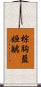 棕胸藍姬鶲 Scroll
