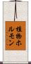 植物ホルモン Scroll