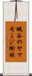 楓谷のヤマモミジ樹林 Scroll