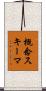 概念スキーマ Scroll