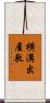 横溝出屋敷 Scroll