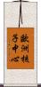 歐洲核子中心 Scroll