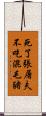 死了張屠夫，不吃混毛豬 Scroll