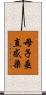 母子垂直感染 Scroll