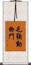 毛顎動物門 Scroll