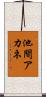 池間アカネ Scroll