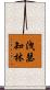 洩瑟知林 Scroll