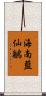 海南藍仙鶲 Scroll
