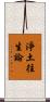 淨土往生論 Scroll