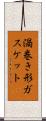 渦巻き形ガスケット Scroll