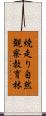 焼走り自然観察教育林 Scroll