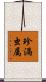 珍渦虫属 Scroll