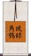 琉球角鴞 Scroll