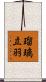 瑠璃立羽 Scroll