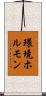 環境ホルモン Scroll