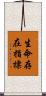 生命存在指標 Scroll