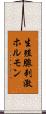 生殖腺刺激ホルモン Scroll