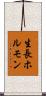 生長ホルモン Scroll