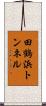 田鶴浜トンネル Scroll