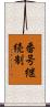 番号継続制 Scroll