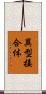異型接合体 Scroll