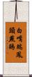白嘴端鳳頭燕鷗 Scroll