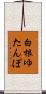 白根ゆたんぽ Scroll