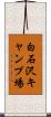 白石沢キャンプ場 Scroll