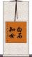 白石知世 Scroll