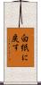 白紙に戻す Scroll