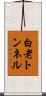 白老トンネル Scroll
