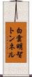 白雲明智トンネル Scroll