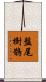 盤尾樹鵲 Scroll