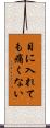 目に入れても痛くない Scroll