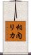 相内リカ Scroll