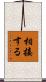 相接する Scroll
