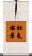 相良右章 Scroll