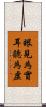 眼見為實，耳聽為虛 Scroll