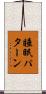 睡眠パターン Scroll