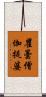 瞿曇僧伽提婆 Scroll