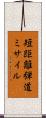 短距離弾道ミサイル Scroll
