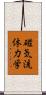 磁気流体力学 Scroll