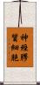 神經膠質細胞 Scroll