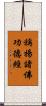 稱揚諸佛功德經 Scroll