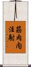 筋肉内注射 Scroll