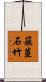 簇莖石竹 Scroll