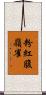 粉紅腹嶺雀 Scroll