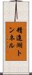 精進湖トンネル Scroll