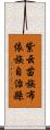 紫云苗族布依族自治縣 Scroll